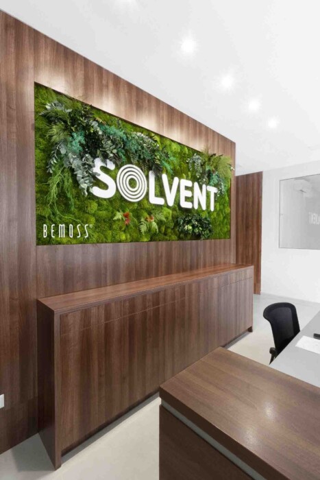 Moos- und Pflanzenwand + SOLVENT-Logo