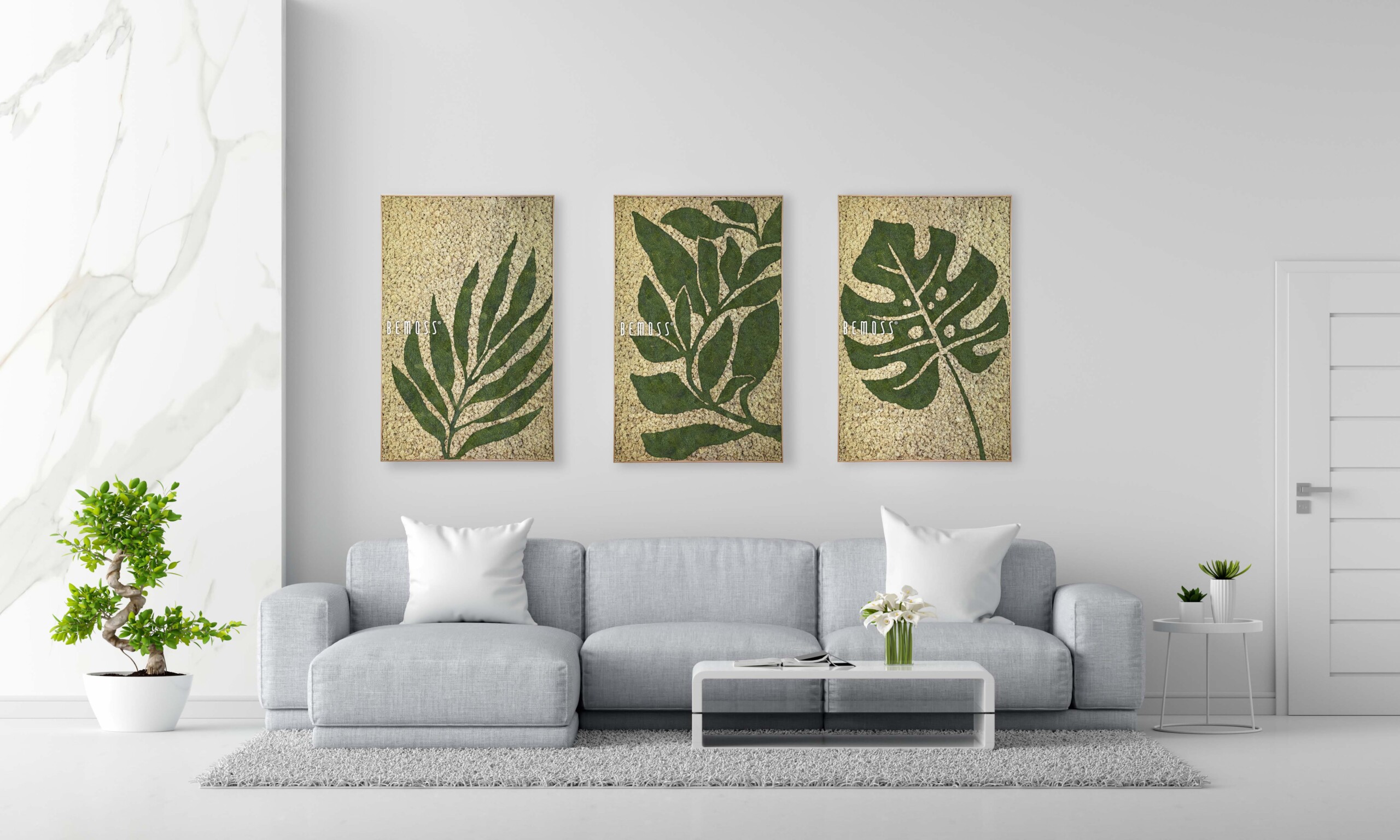 EARTH collection