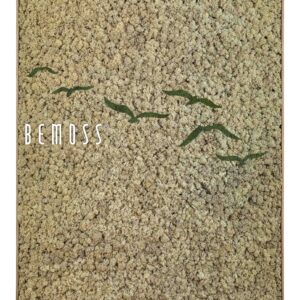 obrázok vtáka letiaceho nad poľom trávy s nápisom bemos na boku machovy obraz, stabilizovany mach, machová stena, machová dekorácia