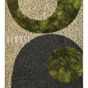 obrázok koberca so zeleným kruhom a čiernym kruhom na zemi s bielym kruhom navrchu, abstraktné umenie , machovy obraz, stabilizovany mach, machová stena, machová dekorácia