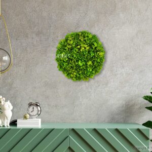 zelené nástenné hodiny na stene vedľa zelenej skrinky a rastlina vo váze na stole, environmentálne umenie , machovy obraz, stabilizovany mach, machová stena, machová dekorácia