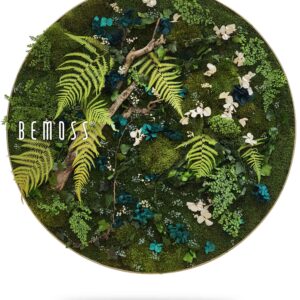 tanier s rastlinou a slovom s nápisom bemox, mozaika , machovy obraz, stabilizovany mach, machová stena, machová dekorácia