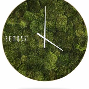 hodiny, na ktorých rastie mach s nápisom bemuss na ciferníku a bielym pozadím machovy obraz, stabilizovany mach, machová stena, machová dekorácia
