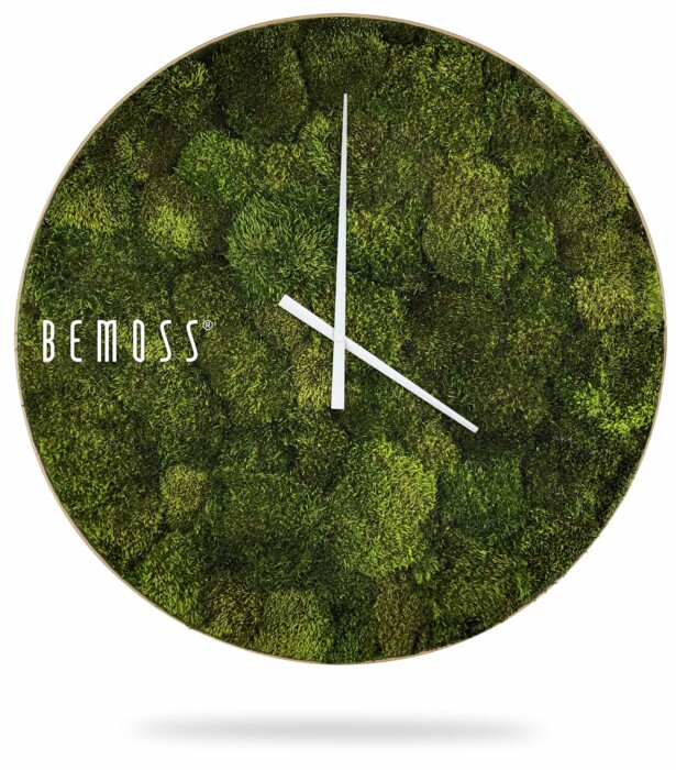 eine Uhr mit Moos darauf, auf der steht: „Be moss on it“ und einer weißen handgeschriebenen Nachricht auf der Vorderseite, moosbild, mooswand, moos pflanzen, moos, moos deko, moos art