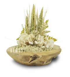 Eine Holzschale mit Blumen und Gras darin auf weißem Hintergrund, in deren Mitte die Worte „Benoss“ geschrieben sind, moosbild, mooswand, moos pflanzen, moos, moos deko, moos art