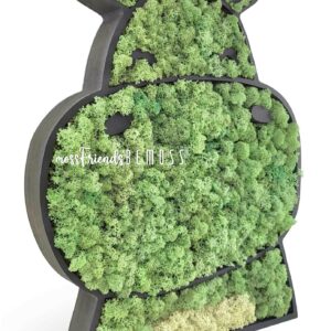 zelená rastlina s čiernym rámom na tvári a čiernym rámom s obrázkom zeleného zvieraťa, environmentálne umenie , machovy obraz, stabilizovany mach, machová stena, machová dekorácia