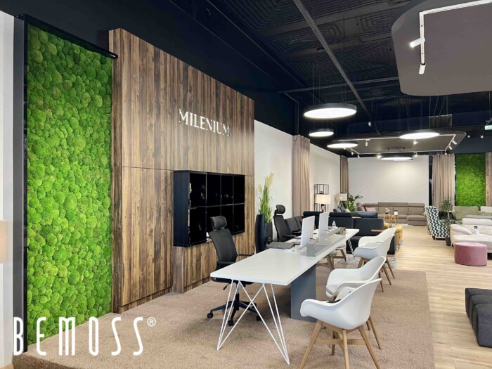 Milenium – Bolmoss