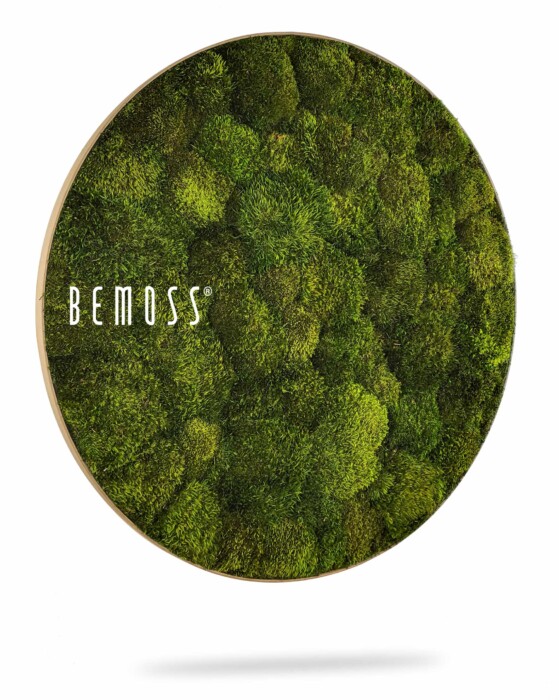 Eine mit Moos bedeckte Wand mit dem Wort „Be Moss“ auf der Seite und einem weißen Hintergrund mit einem grünen Wald, moosbild, mooswand, moos pflanzen, moos, moos deko, moos art