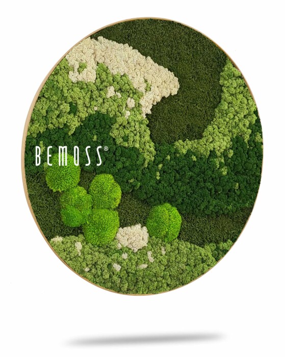 ein Bild eines grünen Waldes mit der Aufschrift „Bemoss“ in weißen Buchstaben auf grünem Hintergrund, moosbild, mooswand, moos pflanzen, moos, moos deko, moos art
