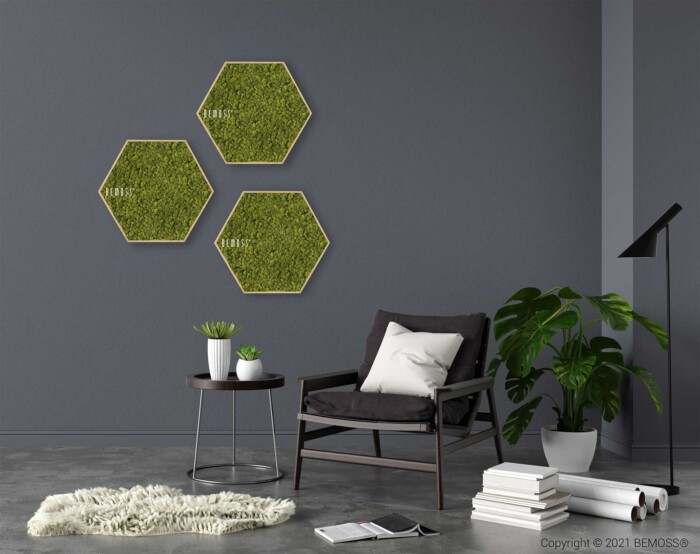 ein Wohnzimmer mit einem Stuhl und einem Tisch mit einer Pflanze darauf und drei Sechsecken an der Wand, moosbild, mooswand, moos pflanzen, moos, moos deko, moos art
