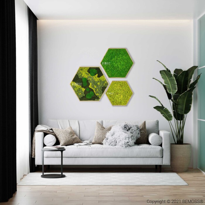 ein Wohnzimmer mit einer Couch und einer Pflanze darin und drei Sechsecken an der Wand, moosbild, mooswand, moos pflanzen, moos, moos deko, moos art