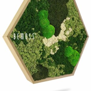 zelená rastlina s nápisom „buď mach“ na boku a bielym pozadím so zelenou listovou plochou, environmentálne umenie , machovy obraz, stabilizovany mach, machová stena, machová dekorácia