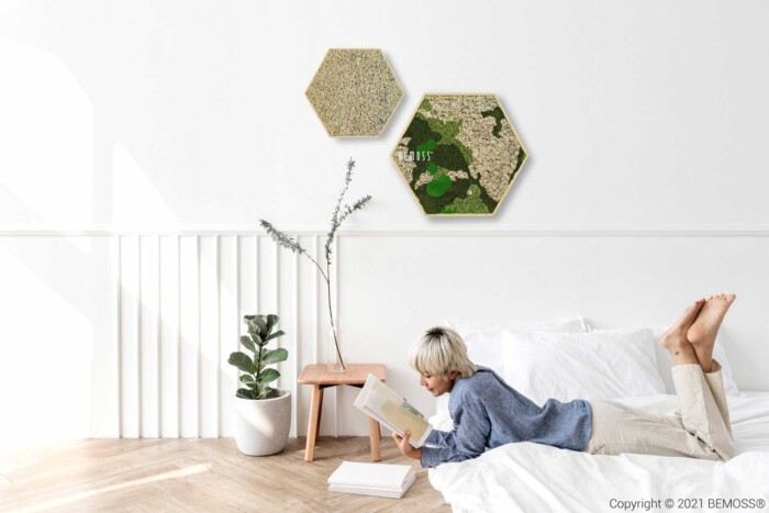 Eine Frau liegt auf einem Bett und liest ein Buch in einem weißen Raum mit zwei sechseckigen Wandkunstwerken, moosbild, mooswand, moos pflanzen, moos, moos deko, moos art