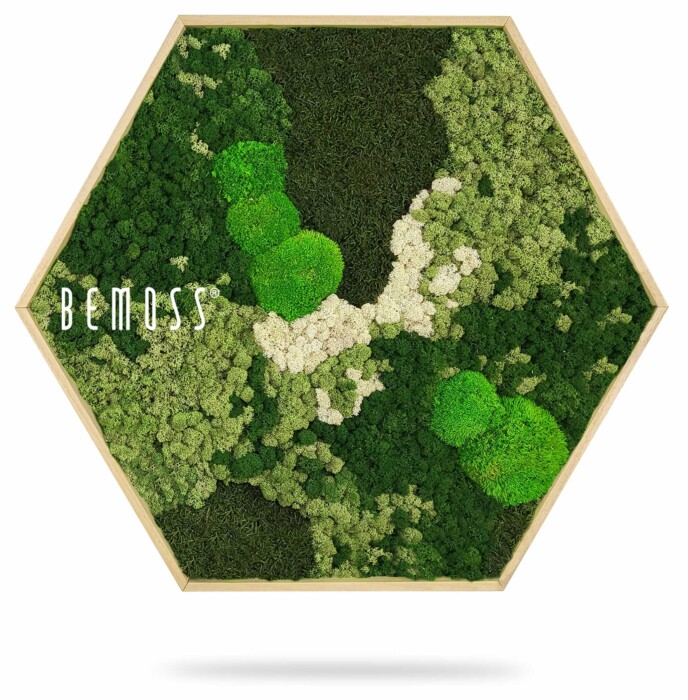 Eine grüne Pflanze mit der Aufschrift „Be Moss“ auf der Seite und dem Bild eines Baumes in der Mitte, moosbild, mooswand, moos pflanzen, moos, moos deko, moos art