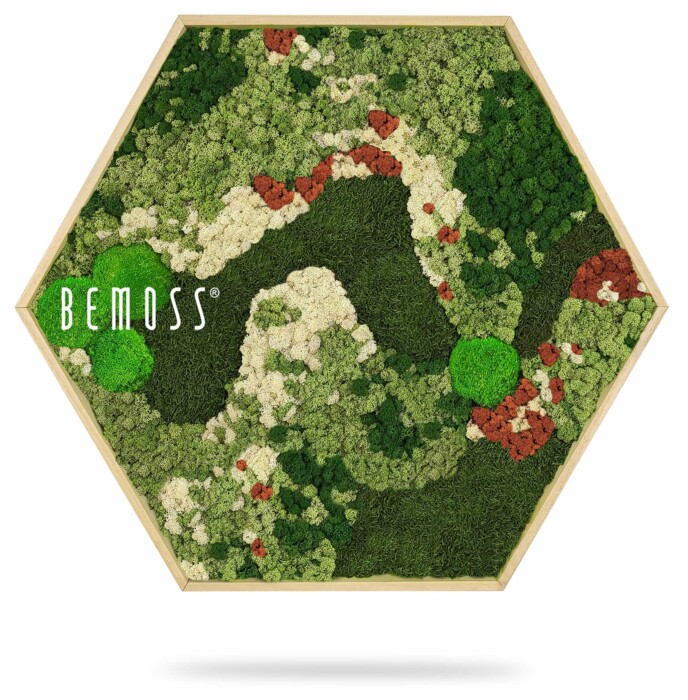 eine grün-weiße Pflanze mit der Aufschrift „Bemos“ auf der Seite und einem grünen Hintergrund mit einer rot-weißen Blume, moosbild, mooswand, moos pflanzen, moos, moos deko, moos art