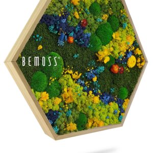 machovy obraz hexagon rastliny interier stena TORRES BEMOSS