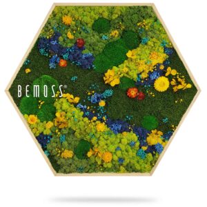 machovy obraz hexagon rastliny interier stena TORRES BEMOSS