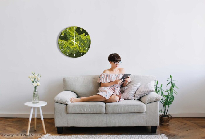 Eine Frau sitzt auf einer Couch mit einem Buch und einer Uhr hinter ihr. An der Wand hinter ihr ist eine Pflanze, moosbild, mooswand, moos pflanzen, moos, moos deko, moos art