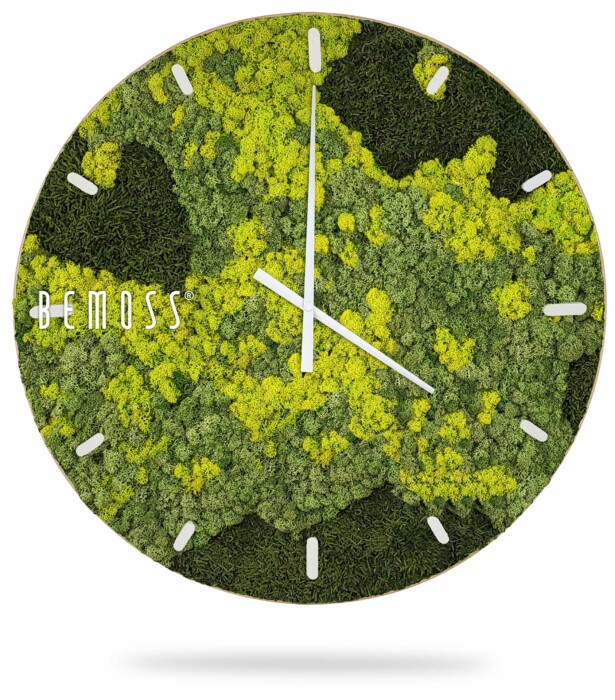 Eine Uhr mit Moos darauf und den Worten Moos darauf in weißen Buchstaben auf grünem Hintergrund mit weißen Zeigern, moosbild, mooswand, moos pflanzen, moos, moos deko, moos art