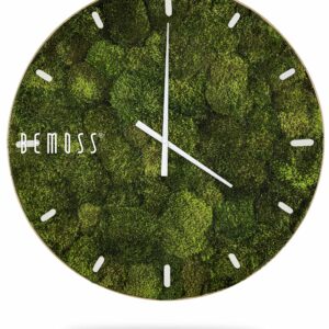 hodiny, na ktorých rastie mach, na ktorých je bielymi písmenami na ciferníku nápis mech machovy obraz, stabilizovany mach, machová stena, machová dekorácia