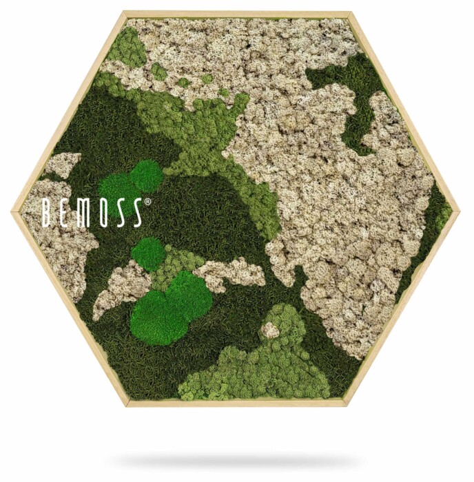 ein mit Moos bedecktes sechseckiges Objekt mit der Aufschrift „Be Moss“ in weißen Buchstaben und grünen Blättern, moosbild, mooswand, moos pflanzen, moos, moos deko, moos art