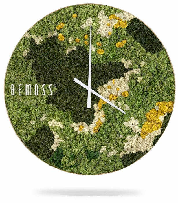 Eine Uhr mit Moos und Blumen darauf, auf deren Vorderseite Bemoss steht, ist ein weißer Hintergrund, moosbild, mooswand, moos pflanzen, moos, moos deko, moos art
