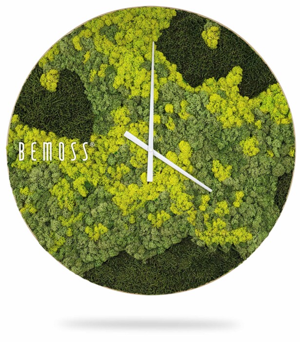 Eine Uhr, auf der Moos wächst und auf der in weißen Buchstaben auf weißem Hintergrund die Worte „Bemuss“ geschrieben stehen, moosbild, mooswand, moos pflanzen, moos, moos deko, moos art