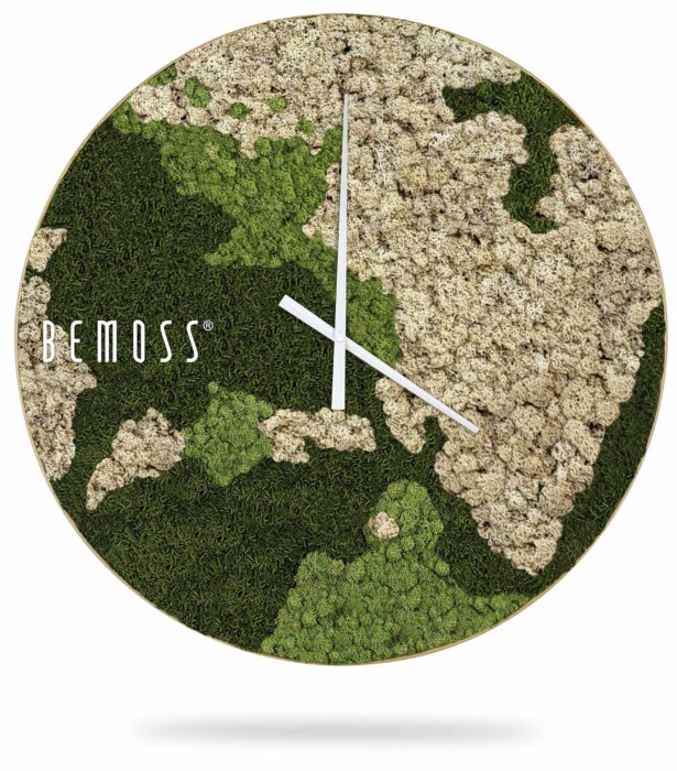 Eine Uhr, auf der Moos wächst, mit dem Wort „Bemoss“ auf der Vorderseite und einem weißen Hintergrund, moosbild, mooswand, moos pflanzen, moos, moos deko, moos art