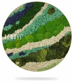 ein rundes Bild einer grün-weißen Fläche mit weißem Hintergrund und einem weißen Text, der lautet, moosbild, mooswand, moos pflanzen, moos, moos deko, moos art