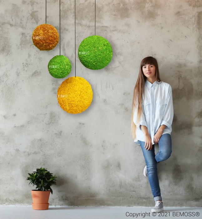 Eine Frau steht neben einer Wand, an deren Seiten drei Kugeln hängen und in der Mitte eine Pflanze steht, moosbild, mooswand, moos pflanzen, moos, moos deko, moos art
