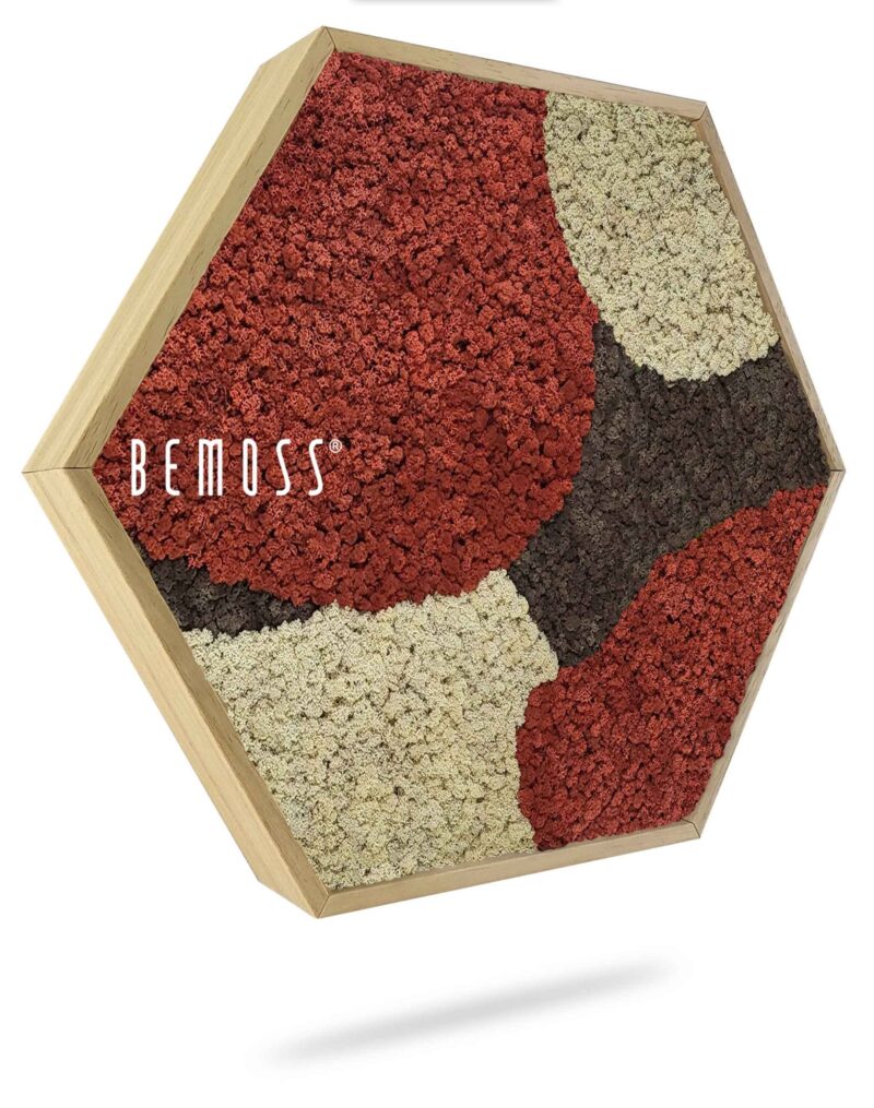 Moosbild Hexagon BEMOSS® ORTHO SIENNA