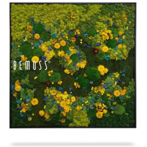 obrázok poľa kvetov so slovom bemos uprostred a obrázok poľa kvetov machovy obraz, stabilizovany mach, machová stena, machová dekorácia