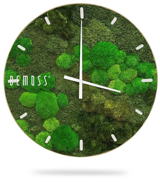 eine Uhr mit Moos und weißen Zahlen auf dem Zifferblatt und den Zeigern, moosbild, mooswand, moos pflanzen, moos, moos deko, moos art