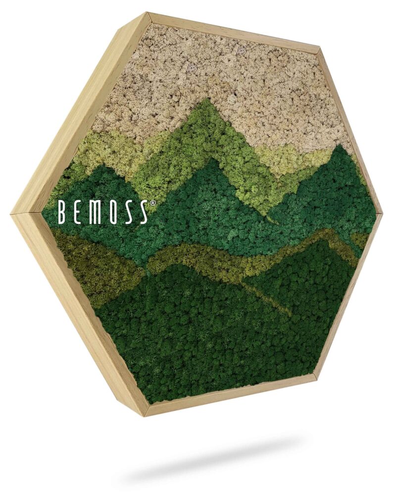Moosbild Hexagon BEMOSS® Panorama