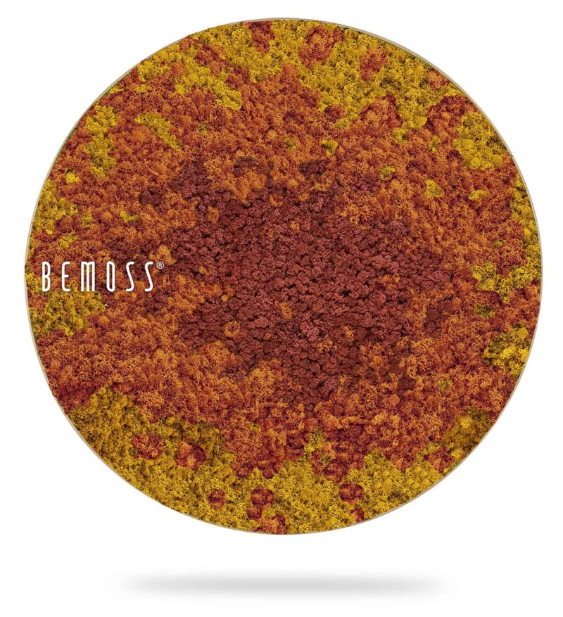 Moosbild Rund BEMOSS® SPLASH Sienna