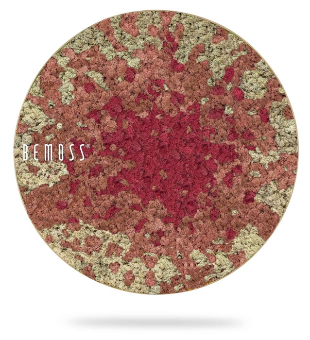 ein rot- und goldfarbener Lidschatten mit weißem Hintergrund und einem weißen Wort mit der Aufschrift „, moosbild, mooswand, moos pflanzen, moos, moos deko, moos art
