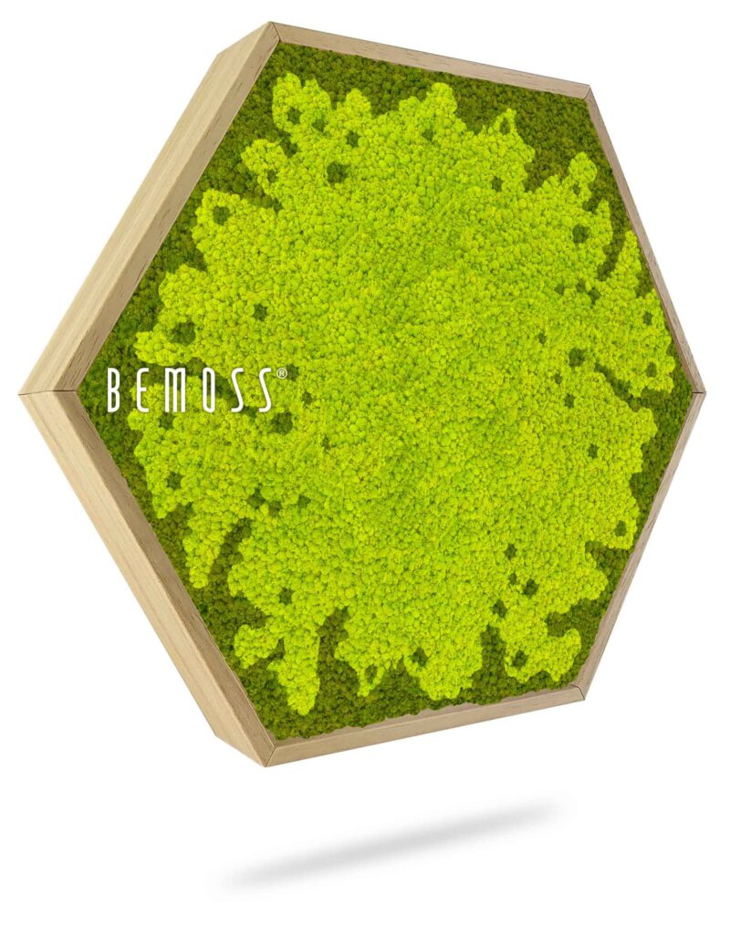 Moosbild Hexagon BEMOSS® MARE
