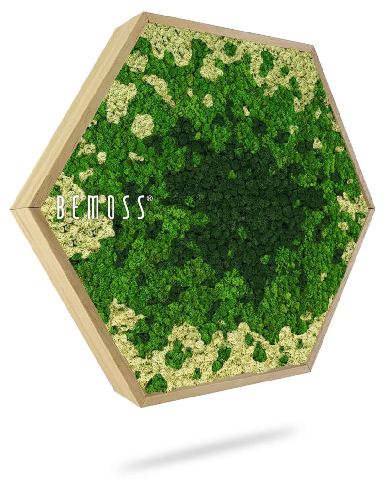 Moosbild Hexagon BEMOSS® ORTHO SPLASH Green