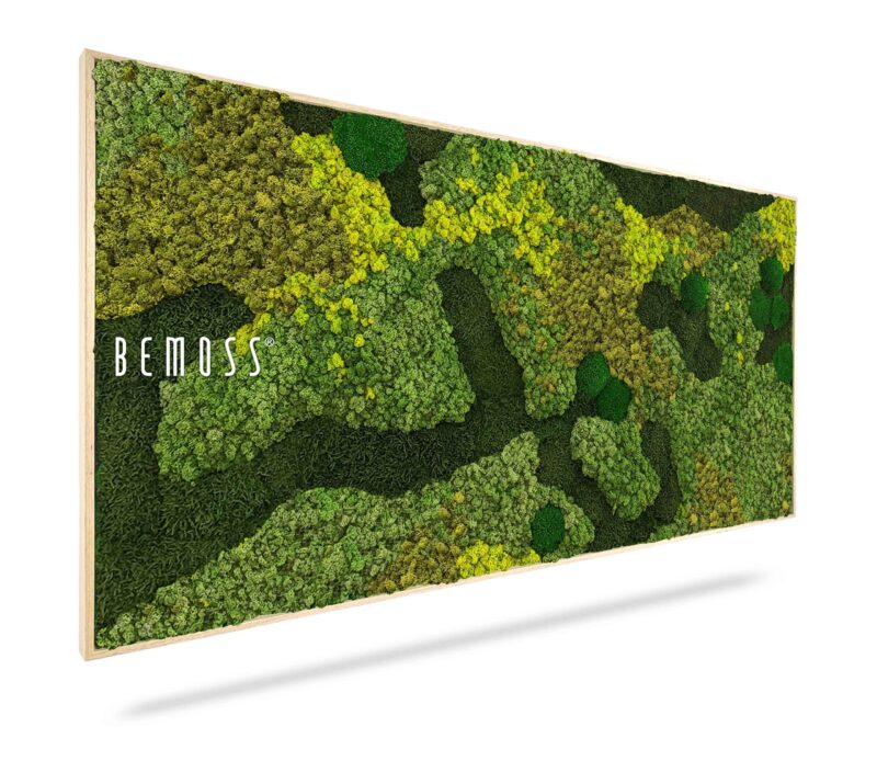Moosbild BEMOSS® ORTHO MEDIUM