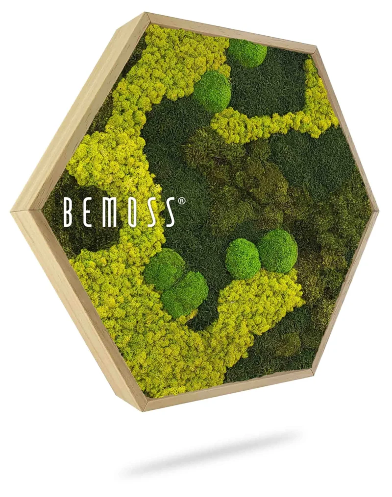 Moosbild Hexagon BEMOSS® ORTHO BORJA mono