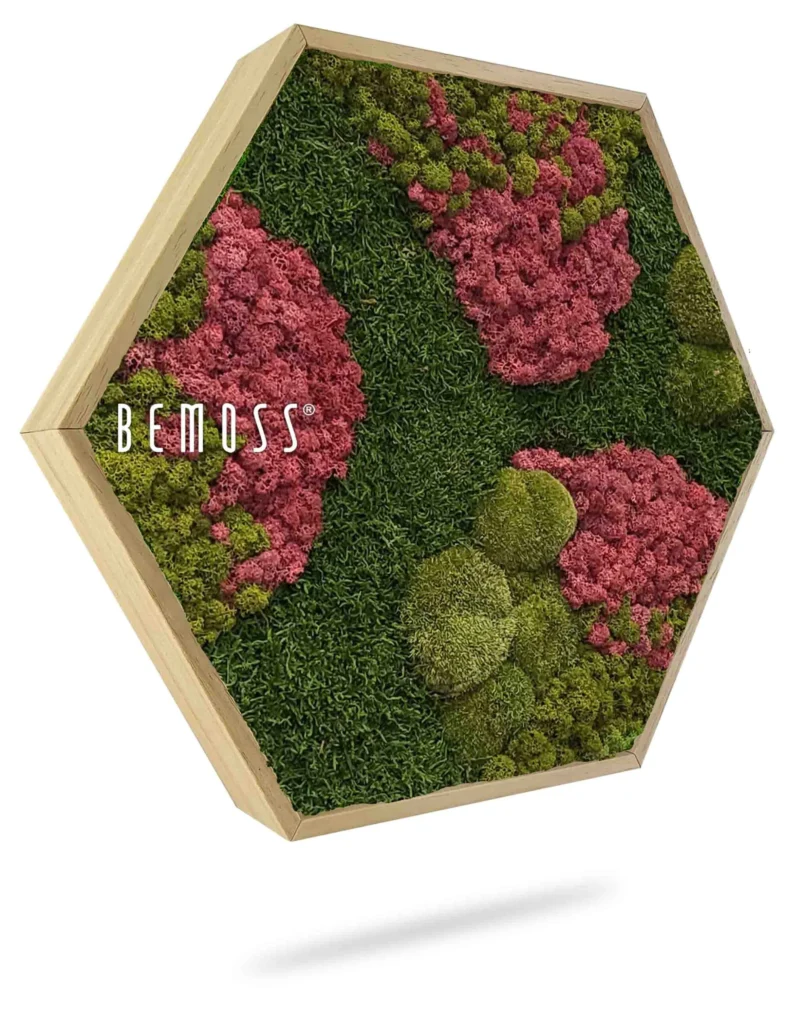 Moosbild Hexagon BEMOSS® ORTHO BURGUNDY