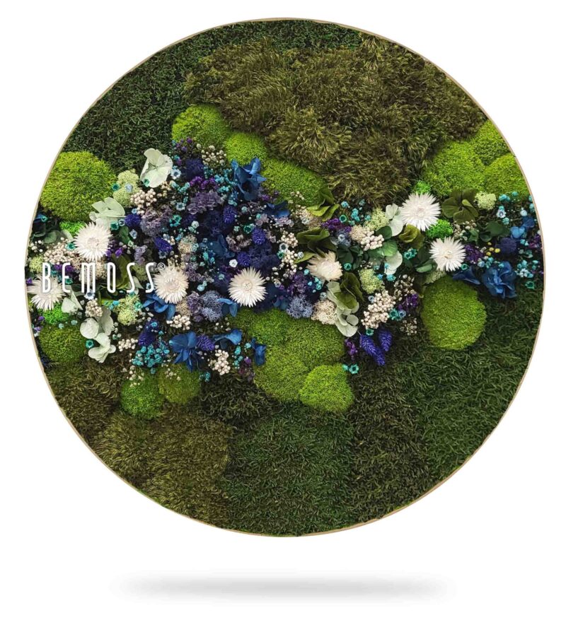 Moosbild Rund PFLANZEN Acebo BLUE