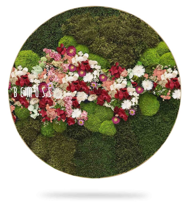 Moosbild Rund PFLANZEN Acebo PINK