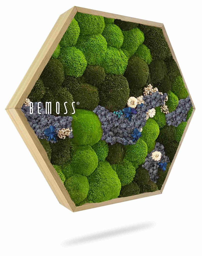 Moosbild Hexagon KUGELMOOS COSMO Blue