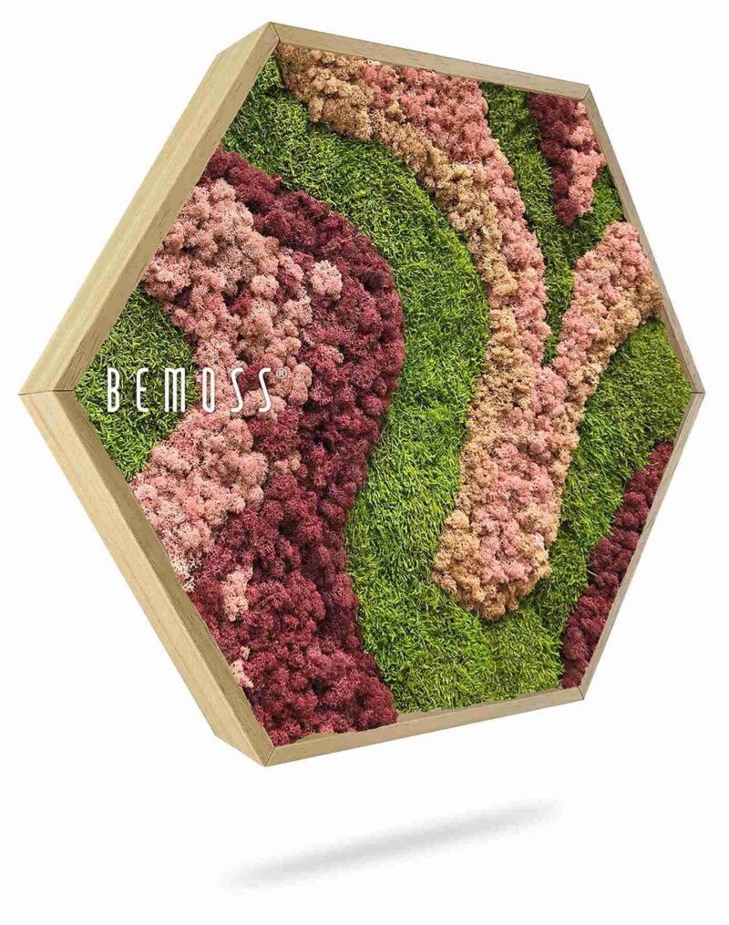 Moosbild Hexagon BEMOSS® ORTHO ARROSA