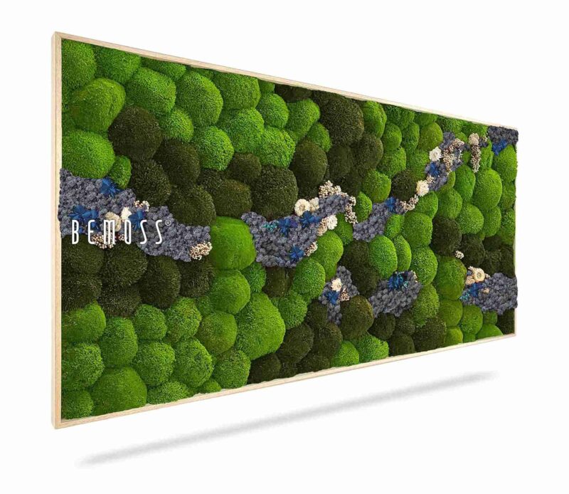 Moosbild KUGELMOSS COSMO Blue