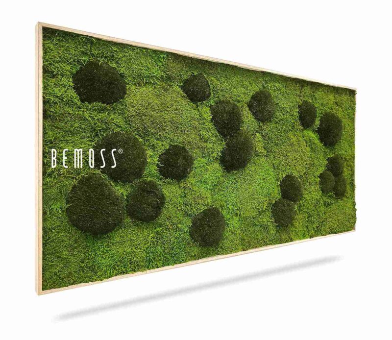 Moosbild FLACHMOOS & KUGELMOOS Peva