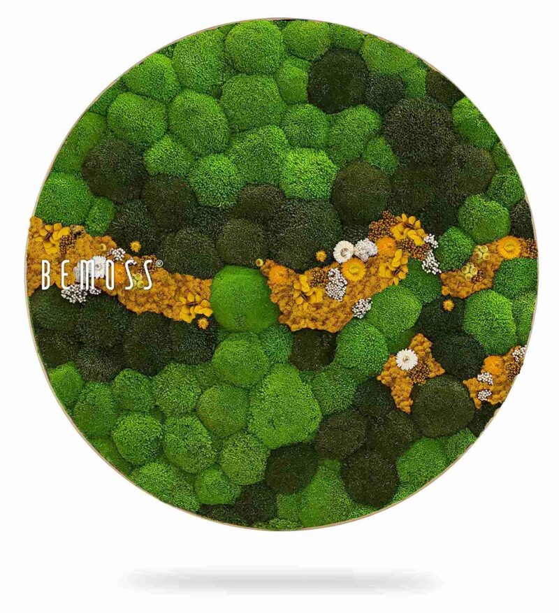 Moosbild Rund KUGELMOOS COSMO Yellow
