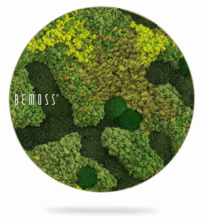 Moosbild Rund BEMOSS® ORTHO MEDIUM