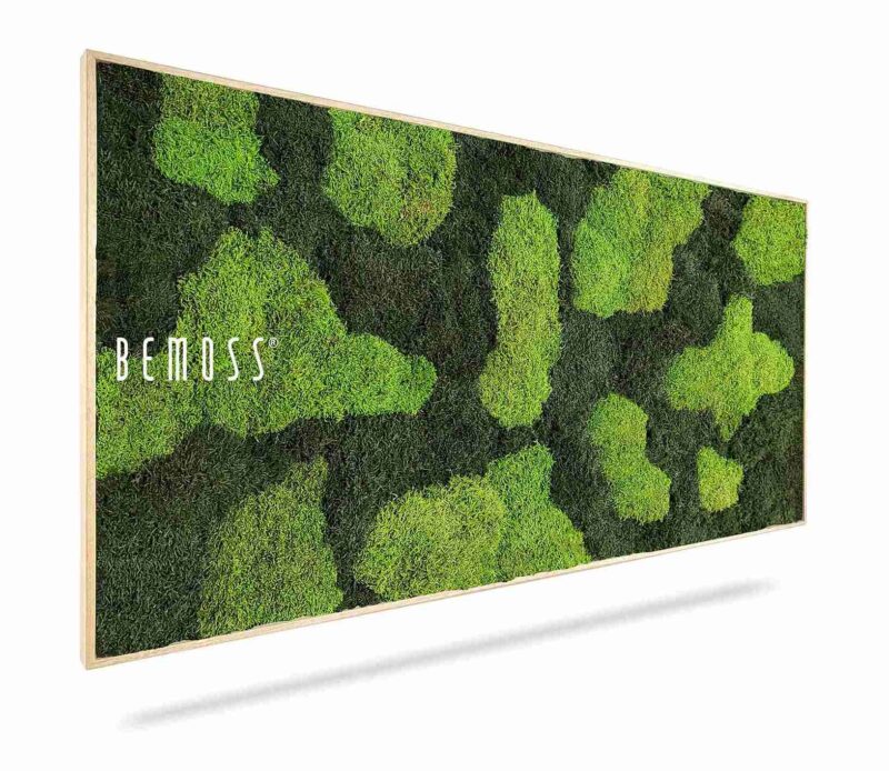 Moosbild FLACHMOOS BOVINO